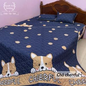 (Thanh lý lỗ) Vỏ Chăn Lồng Mẫu Tim Xước Ruột Trần Bông Lồng Dày Dặn Chất Liệu Cotton Poly - Kích Cỡ : 185m x 205m