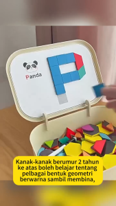 250PCS Magnetic Jigsaw Puzzle with 96 Page Book Portable Case Wooden Tangram Blocks