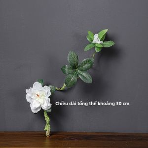 Vòm Hoa Thủy Tinh Trang Trí Bàn Làm Việc Hoa Giả Pha Nước Hoa Khô Trang Trí Nhà Cây Xanh Miệng Nhỏ Cảm Giác Cao Cấp