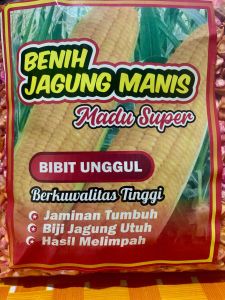 1 KG BENIH JAGUNG MANIS KUALITAS TINGGI SIAP TANAM