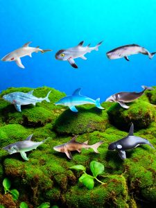 โมเดลสัตว์ทะเลจำลอง ปลาฉลาม โลมา ตะเพียน ปลา กางเขนเล่นสำหรับเด็ก อุปกรณ์เล่นด้วยมือ พลั๊กอินแบบสัมผัสได้ โมเดลสัตว์ทะเล