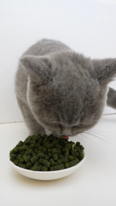 Cat Hairball Treatment Treats: Chicken Flavor with Catnip 80g Jar | Aid Digestion & Reduce Hairballs