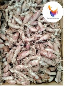 Ikan Asin Cumi/Sotong Rebus size Sedang Super