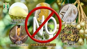 Raykat Ripening 1L (Baja Buah 果肥 化肥 肥水Fertilizer Agriculture Farming Plantation)