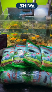 Cám Shanghai Hạt Nhỏ/ Vừa/ To/ Mịn - Thức Ăn Cho Cá 7 Màu/ Cá Cảnh/ Cá Koi 100gr Chất Lượng Tốt SHIWA