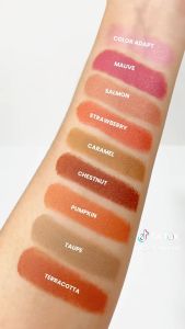 Careline Multi Stick 5g [Multi use Blush on Contour Highlighter Lipstick]
