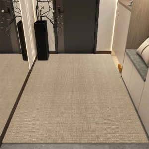 Ultra-Thin 1mm Door Mat Leather Entrance Hall Carpet No Wash Non-Clogging Modern Chinese Style Home Textile Floor Mat