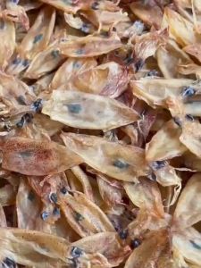 1kg Mực Chuối Biển Sạch Nguyên Con Tươi Mới Nấu Hủ Tiếu Mì Ngọt Nước- ĐẶC SẢN MINH TRIẾT