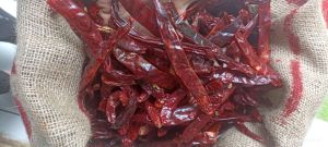 CABE MERAH BESAR KERING KWALITAS SUPER
