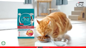 Purina One Cat Dry Food 1.2KG Premium Adult Kitten Indoor All Breeds Makanan Kering Kucing