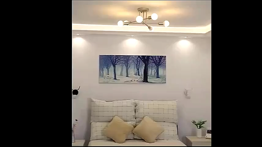Ceiling Light Modern Style 8 Light Chandelier Light Fixture Chandelier Ceiling light living room