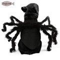 Black Spider Transformation Costume Cute Creative Halloween Pet Dog Clothes for Photoshoots Cat Pet Supplies DogLemi