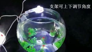 Đèn Led kẹp bể cá tròn miệng vòm khó gắn đèn thường