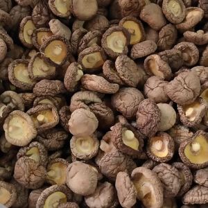 เห็ด香菇เห็ดพรีเมี่ยมB3（ข้อกำหนดปกติ）การประกันคุณภาพเห็ดพรีเมี่ยม อัตราการเกิดฟองสูง