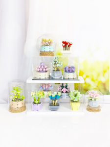 Jiaqi Toys Green Plant Model Succulent Pot Decoration Assembly Toy for Girls Flower Bouquet Building Blocks Educational Toy