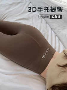 Quần Yoga Dày Mùa Đông Cho Nữ Quần Lót Nâng Mông Bằng Vải Nhung Mỏng Quần Shark Quần Lót Mùa Đông Dày Dặn