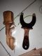 habiby slingshot