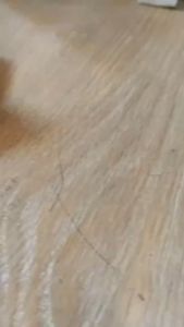 Laher Bearing BEARING 6004 ZZ Bantalan Klahar Motor Yamaha