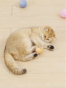 ของเล่นแมว บอลเชือก (4cm) ลูกบอลของเล่นสัตว์เลี้ยง  ทนต่อการกัด ลูกบอล ทนทานต่อการเล่น ลูกบอลเชือก สำหรับแมว สำหรับสัตว์เลี้ยง