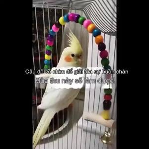 【X】Natural Wooden Parrots Swing Toy Birds Perch Hanging Swings Cage Colorful Beads