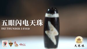 五眼闪电天珠 5 EYED THUNDER DZI 财运之珠 西藏老天珠 ANTIQUE DZI WEALTH DZI 手链/项链 Bracelet/Necklace DZI DESTINY 天珠缘