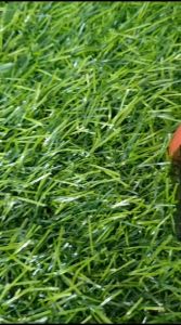 (1BIJI)KENKO SHARPENER rautan SP-818 1 HOLE