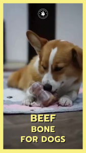 DOGKERY BEEF BONE  กระดูกวัวยัดใส่ตับบด Size - KNUCKLE