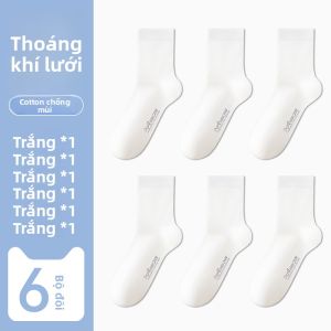 Tất nam MiiOW bằng tre và lưới thoáng khí kháng khuẩn - mùa hè