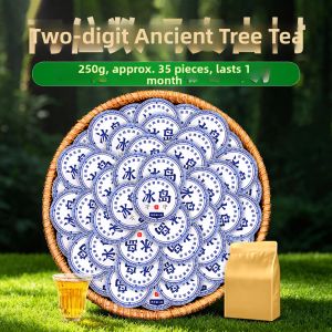 Spring Yunnan Ancient Tree Raw Pu-erh Mini Tea Cake