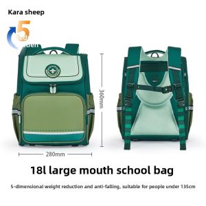 Caran·Y | Ergonomic Large Capacity School Backpack