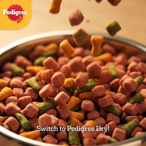 PEDIGREE Dry Dog Food in Chicken and Vegetable Flavor 1.5kg