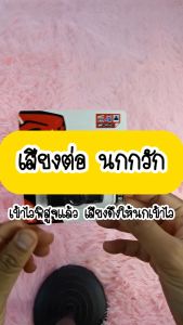 เสียงนกแท้ เสียงดังฟังชัด เสียงต่อนกกวัก แฟลชไดร์ฟ USB 100% เข้าใจง่าย