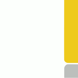 Beauty Bee Philippines Ylang-Ylang Essential Oil – PureExtract™ Floral Calm & Mood-Lifting Harmony