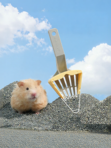 TIYES | Pet Toilet Cleaning Tool for Hamster Urine Sand Bath Sand