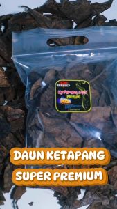 BERRITZ Daun Ketapang Super Pekat Lumer Cocok untuk ikan channacupanglouhanarwanakokikoi dll