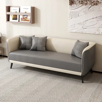 Minimalist Nordic Small Space Friendly Sofa