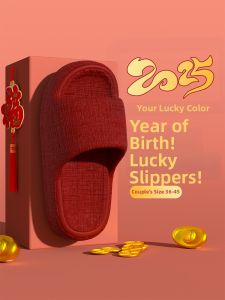 TAIZINA | Indoor Slippers for Zodiac Year 2025 Anti-slip Home Slipper
