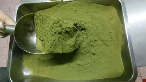 ชาสมูธรรมดุลชนิดชงดื่ม 100% ชาบจุดที่น่ารัก (มูลบีรูป) ผงชาใบหม่อน ราคาส่ง ราคาถูกหน้าโรงงาน รัปประกันสินค้าจากผู้ผลิต (ใหม่ พร้อมส่ง!)