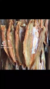 Khô Cá Mối Trắng -  Đặc Sản Minh Triết Cà Mau