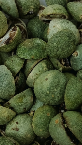冻干小青柠 100g Dried Lime