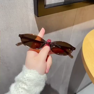 Vintage Oval Frame Sunglasses For Women Men Sun Protection Beach Sunglasses Black Frame Brown Polarized Sunglasses Vintage Fashion Small Frame