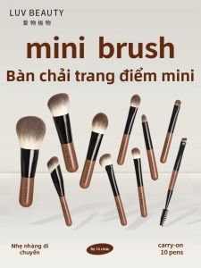 AIWUJIWU | Eye Shadow and Blush Brush Kit for Makeup Artists Portable Soft Bristle with Free Storage Bag