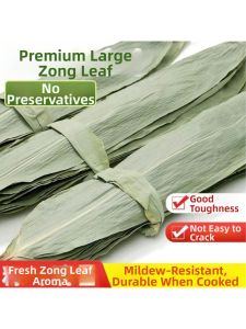 Fresh Large Special Selected Wrapping Leaves