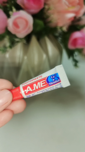 Toothpaste 3G AME - 100s Hotel Amenities Dental kit