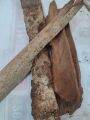 Cinnamon bark or kaningag bark  herbal woods 100 pesos per 1/2 kilo. 