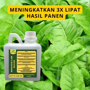 Pupuk Booster Bayam: Cara Meningkatkan Kualitas Sayuran