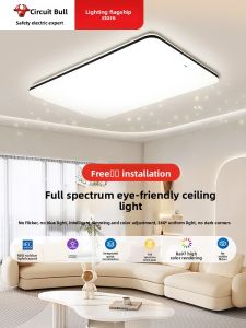 Bull | Full House Set Modern Minimalist Starry Sky Effect Ceiling Light