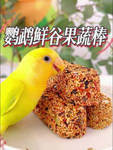TO BE EASY | Grain Based Parrot Chewing Treats and Training Rewards