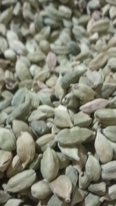 Kapulaga Hijau India 100 Gram – Rempah Premium Biji Utuh Aroma Tajam dan Murni 100% Asli India