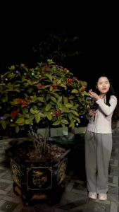 Đèn trang trí năng lượng mặt trời Dây đèn Ma-roc tích kiệm điện bóng siêu sáng chống thấm nước - DA3086